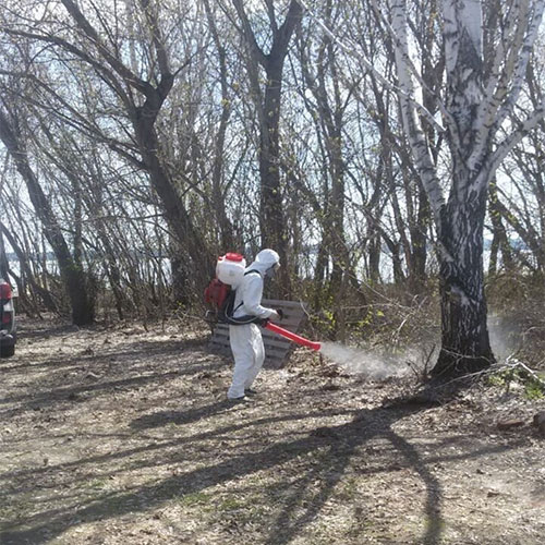 Обновление товаров и услуг в районе метро
 Беговая