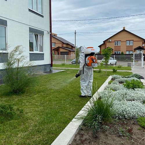 Провести дезинфекцию Северо-Курильск