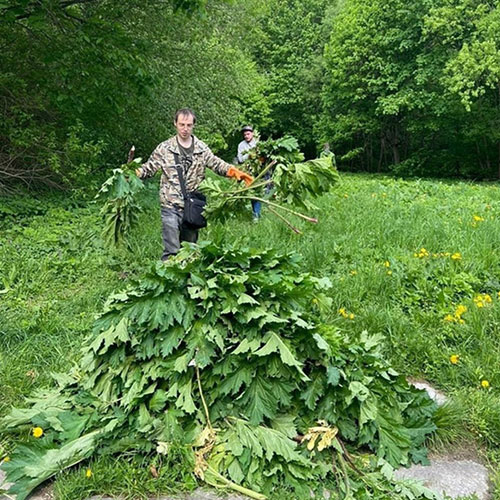 Последние изменения в районе метро
 Старая-Деревня