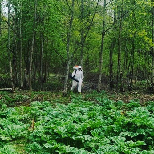 Товары и услуги Подольск-М