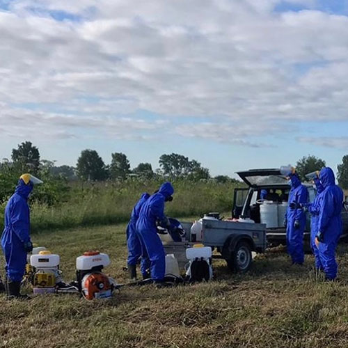 Обновление товаров и услуг в районе метро
 Окружная