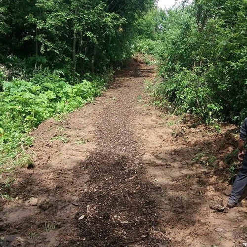 Заказать уничтожение борщевика Говорово