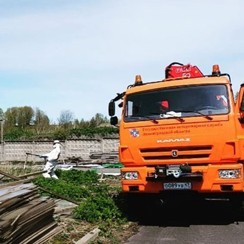 Заказать уничтожение борщевика Каменск-Шахтинский